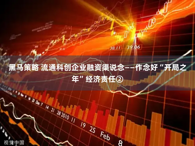 黑马策略 流通科创企业融资渠说念——作念好“开局之年”经济责任②