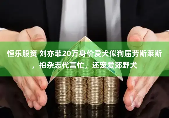 恒乐股资 刘亦菲20万身价爱犬似狗届劳斯莱斯，拍杂志代言忙，还宠爱郊野犬