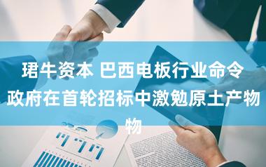珺牛资本 巴西电板行业命令政府在首轮招标中激勉原土产物